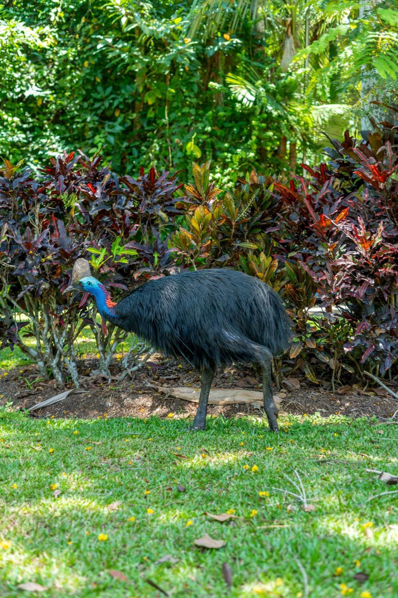 Big4 Tasman Holiday Parks - South Mission Beach エクステリア 写真