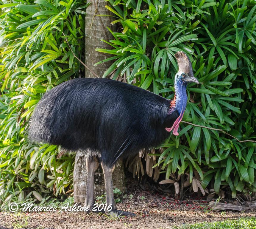 Big4 Tasman Holiday Parks - South Mission Beach エクステリア 写真